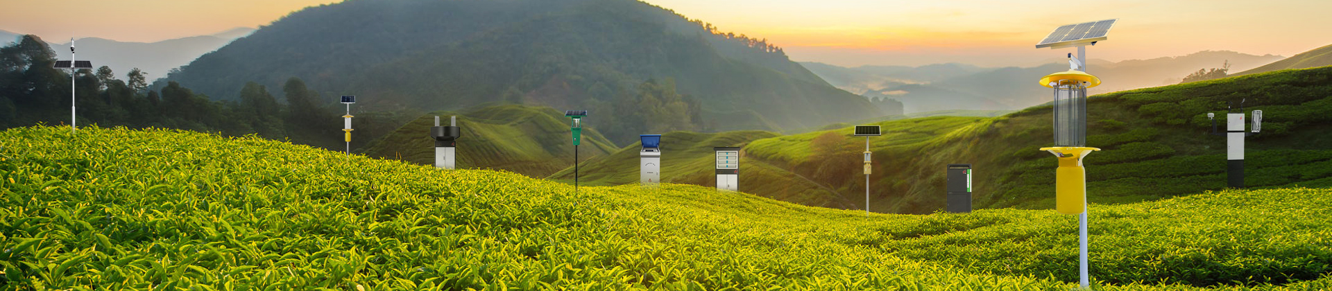 蟲情測報燈_太陽能高空測報燈_智能孢子捕捉儀_太陽能殺蟲燈-新鄉天意新能源